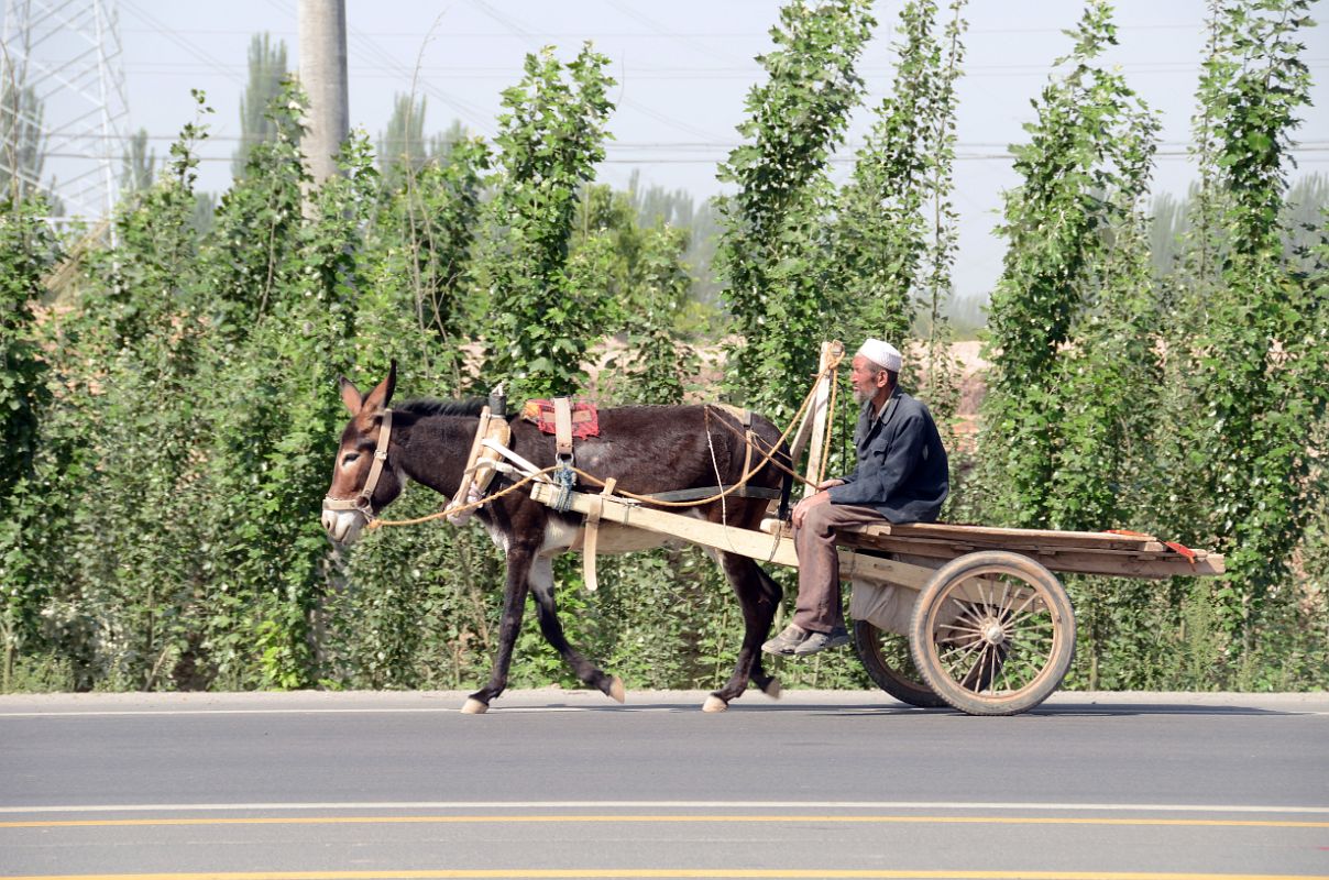 02 The Old Traditional Life Still Exists Man With His Donkey Cart On The Side Of The Road Just After Leaving Kashgar